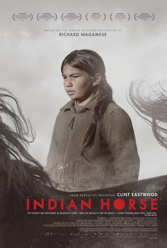 Al momento stai visualizzando Indian Horse